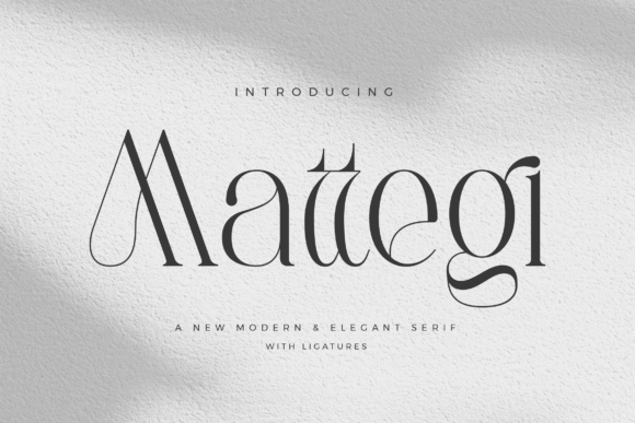 Mattegi: A Stylish Serif Font for Web Design
