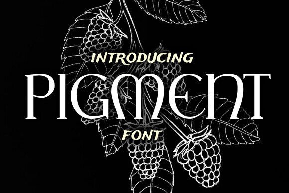 Pigment: A Stylish Serif Font for Web Design