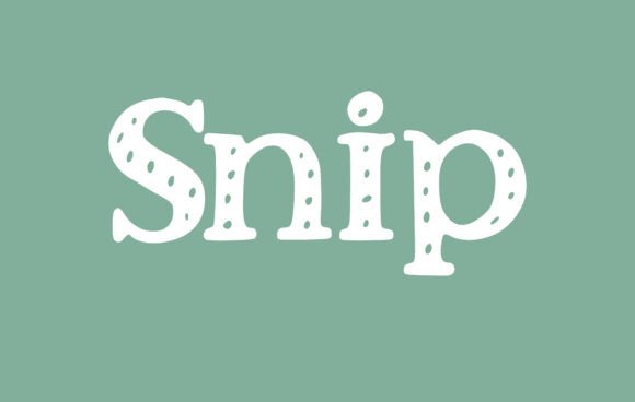 Snip Font: A Romantic Serif for Creative Projects